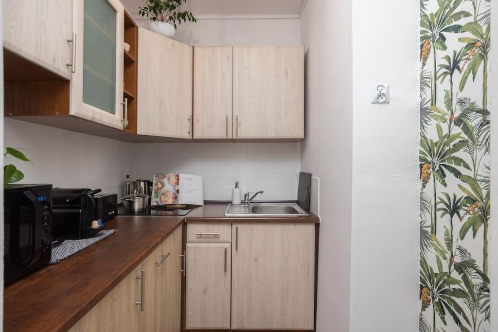 Specious City Center Studio With Park View Varsovia Exterior foto